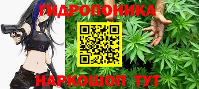 индика Чебаркуль