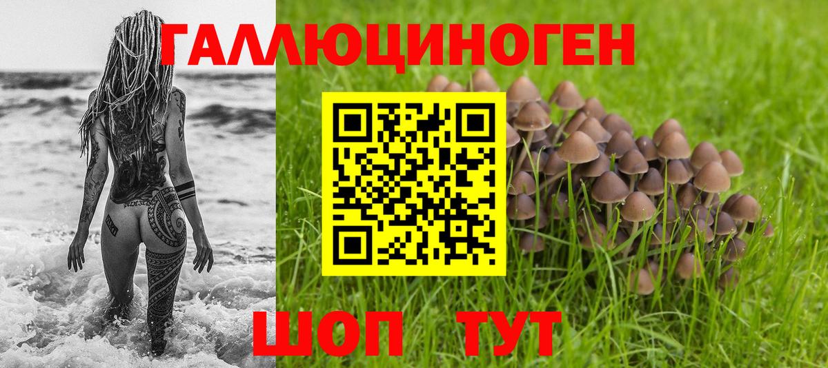 Артёмовский  где купить   Вход с VPN  Галлюциногенные грибы GOLDEN TEACHER  Галлюциногенные грибы прущие грибы 